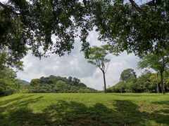 -大屏嶂森林公园