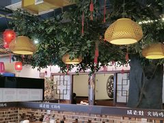 -成老灶火锅鸡(平山店)