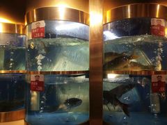水产区-蜀滋香鲜鱼美蛙火锅(339店)