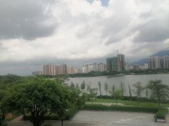 -飞来湖湿地公园