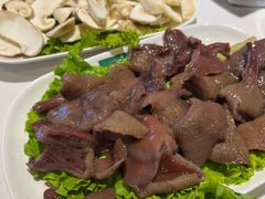 -爱膳菌锅锅(阳南店)