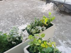 -移动谜城·大笨象密室逃脱(五棵松店)