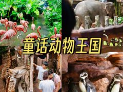 -长鹿旅游休博园