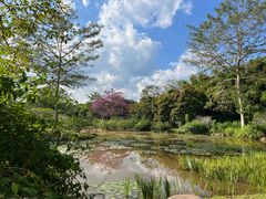 -中国科学院西双版纳热带植物园