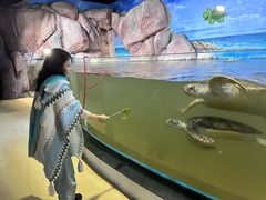 -福州罗源湾海洋世界旅游区