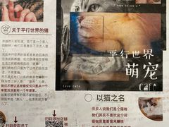 -平行世界·猫咖(首经贸店)