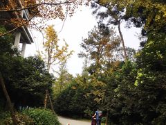 -保利石象湖景区