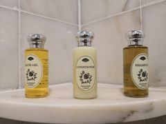 -新加坡文华东方酒店