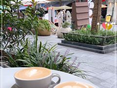 -Wagas沃歌斯(大学路店)