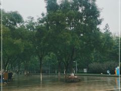 -古城公园