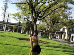 -杭州西湖柳莺里酒店·闻莺厅