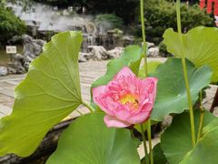 -茅山东方盐湖城景区