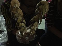 -晓港公园