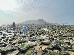 -小石岛景区