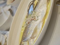 葱油清蒸鲜白鱼-太湖饭店·寄畅轩中餐厅