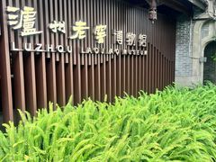-泸州老窖景区
