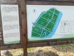-水八仙生态园