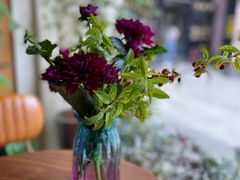 -蝶舍·MAISON PAPILLON