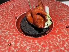 -南堂馆·新川菜(春熙路店)