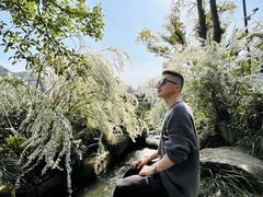 -中国茶叶博物馆(双峰馆区)