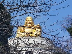 -苏州上方山国家森林公园
