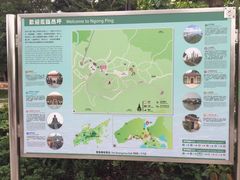 -宝莲禅寺