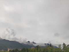 -都江堰石锅鱼
