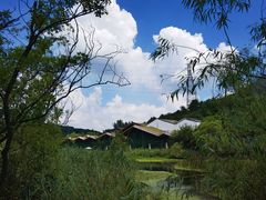 -西湖风景区-江洋畈生态公园