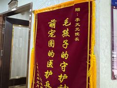 -宠爱国际动物医院·消化内科·心肾内科·ISFM猫友好(望京店)