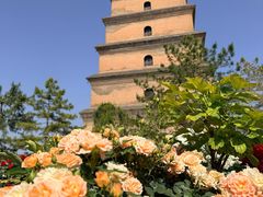 -大慈恩寺(大雁塔)