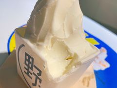 牧场牛乳冰激凌-野人牧坊Gelato(天津南开大悦城店)