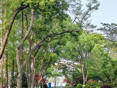 -浙江西子宾馆·瑶园咖啡厅