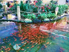 -鸿通城购物中心