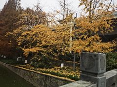 -望湘园·湖南菜(颛桥万达店)