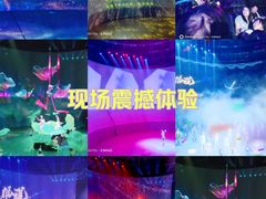 -武汉杂技厅