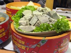 -龍歌自助小火锅(崂山丽达店)