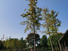 -嬉乐湾休闲旅游区