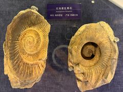 -国家自然博物馆