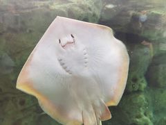 -珠海长隆海洋王国