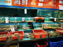 水产区-新享乐海鲜(翠华路店)