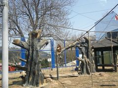 -大连森林动物园