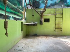 -石家庄市动物园