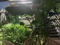 -芸鲜季·云南野生菌餐厅· 云南风物味研社(闵行店)