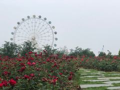 -云幽谷旅游区