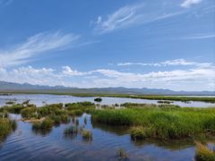 -花湖生态旅游区