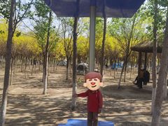 -西青郊野公园