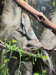 -Zoolung Zoolung动物主题公园(海信广场店)