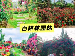 -老鼎万春卤菜(五代传承创始老店)