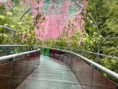 -杭州灵山景区