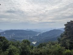 -黄埔油麻山森林公园